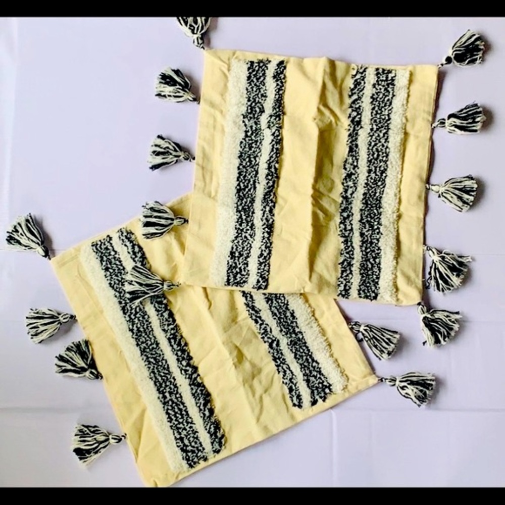 Set of 2 -18x18 Modern Farmhouse Tasseled Throw Pillow Covers